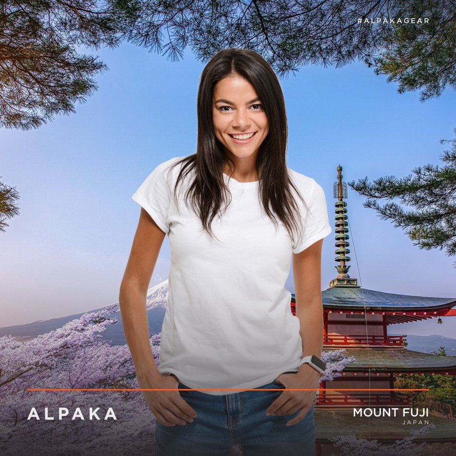 Mount Fuji pagoda example